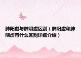 肺阳虚与肺阴虚区别（肺阳虚和肺阴虚有什么区别详细介绍）