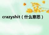 crazyshit（什么意思）