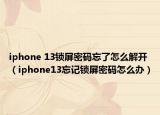 iphone 13锁屏密码忘了怎么解开（iphone13忘记锁屏密码怎么办）