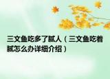 三文鱼吃多了腻人（三文鱼吃着腻怎么办详细介绍）