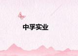 中孚实业