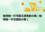 如何画一只可爱又漂亮的小猫（如何画一只可爱的小猫）