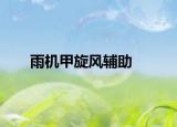 雨机甲旋风辅助