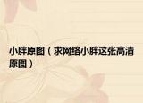 小胖原图（求网络小胖这张高清原图）