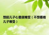 想起儿子心里很难受（不想看着儿子难受）