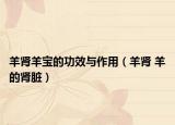 羊肾羊宝的功效与作用（羊肾 羊的肾脏）