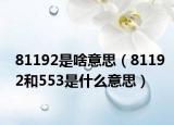 81192是啥意思（81192和553是什么意思）