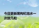 今日更新黑枸杞泡水一次放几粒