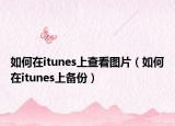 如何在itunes上查看图片（如何在itunes上备份）