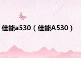 佳能a530（佳能A530）