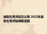 益阳生育津贴怎么算 2022年益阳生育津贴领取流程