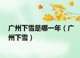广州下雪是哪一年（广州下雪）