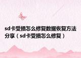 sd卡受损怎么修复数据恢复方法分享（sd卡受损怎么修复）