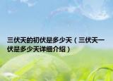 三伏天的初伏是多少天（三伏天一伏是多少天详细介绍）