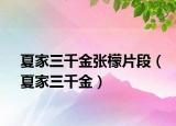 夏家三千金张檬片段（夏家三千金）