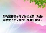 杨梅里的虫子吃了会怎么样（杨梅里的虫子吃了会怎么样详细介绍）