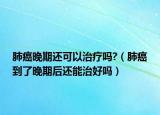 肺癌晚期还可以治疗吗?（肺癌到了晚期后还能治好吗）