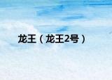 龙王（龙王2号）