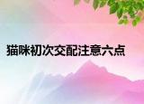 猫咪初次交配注意六点