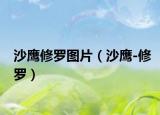 沙鹰修罗图片（沙鹰-修罗）