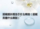 巡视组长相当于什么级别（巡视员是什么级别）