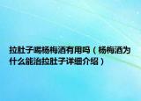 拉肚子喝杨梅酒有用吗（杨梅酒为什么能治拉肚子详细介绍）