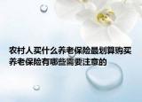 农村人买什么养老保险最划算购买养老保险有哪些需要注意的