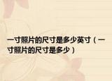 一寸照片的尺寸是多少英寸（一寸照片的尺寸是多少）
