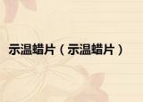 示温蜡片（示温蜡片）