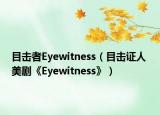 目击者Eyewitness（目击证人 美剧《Eyewitness》）