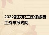 2022武汉职工医保缴费工资申报时间