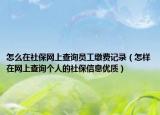 怎么在社保网上查询员工缴费记录（怎样在网上查询个人的社保信息优质）