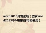 word2013开发选项（微软word2013中F4键的作用和使用）