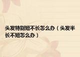 头发特别短不长怎么办（头发半长不短怎么办）