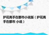 护花高手在都市小说版（护花高手在都市 小说）