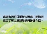 喝杨梅酒可以重新加酒吗（杨梅酒喝完了可以重新加酒吗详细介绍）