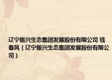 辽宁振兴生态集团发展股份有限公司 钱春风（辽宁振兴生态集团发展股份有限公司）