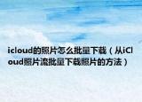 icloud的照片怎么批量下载（从iCloud照片流批量下载照片的方法）
