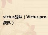 virtus战队（Virtus.pro战队）