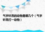 气宇轩昂的动物是哪几个（气宇轩昂打一动物）