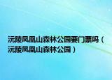 沅陵凤凰山森林公园要门票吗（沅陵凤凰山森林公园）