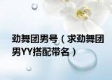 劲舞团男号（求劲舞团男YY搭配带名）
