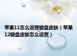 苹果11怎么设置键盘皮肤（苹果12键盘皮肤怎么设置）