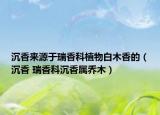沉香来源于瑞香科植物白木香的（沉香 瑞香科沉香属乔木）