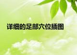 详细的足部穴位插图