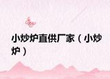 小炒炉直供厂家（小炒炉）
