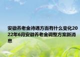 安徽养老金待遇方面有什么变化2022年6月安徽养老金调整方案新消息