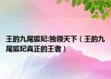王的九尾狐妃:独领天下（王的九尾狐妃真正的王者）