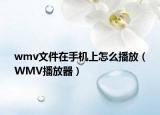 wmv文件在手机上怎么播放（WMV播放器）