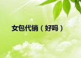 女包代销（好吗）